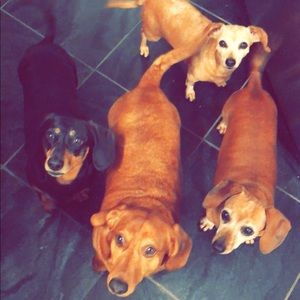 Meet your Posher, Jodie